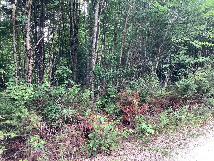 0 Fire Road, Linneus, ME 04730 - #2