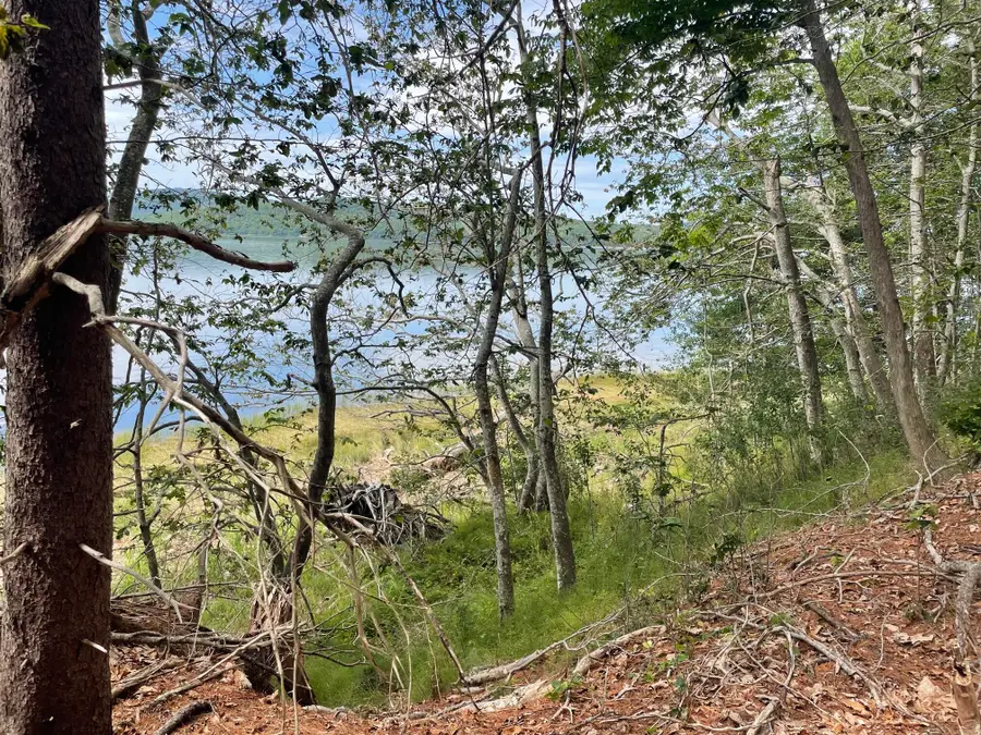 1C Kenney Drive, Bucksport, ME 04416 - #2