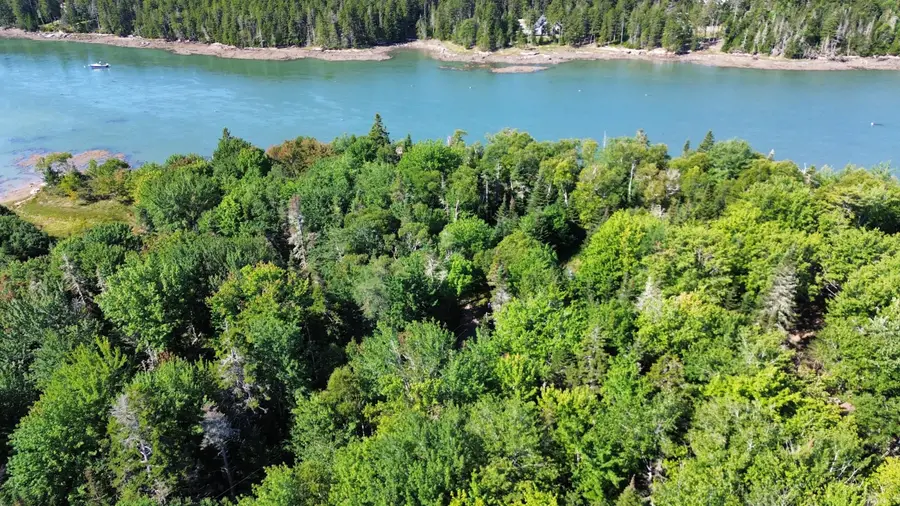 Lot 5C Tom Leighton Point Road, Milbridge, ME 04658 - #2