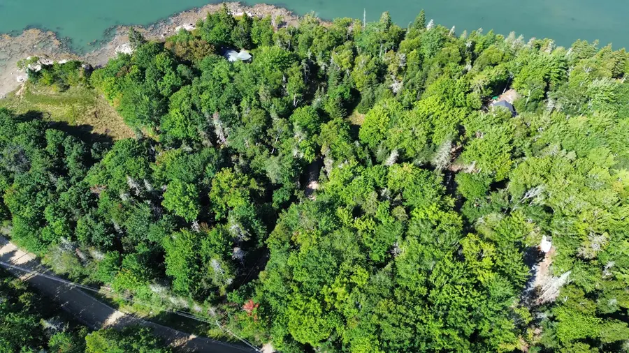 Lot 5C Tom Leighton Point Road, Milbridge, ME 04658 - #3