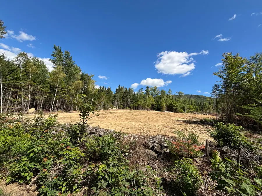 Lot 07 Brown Neighborhood Road, Weld, ME 04285 - #3