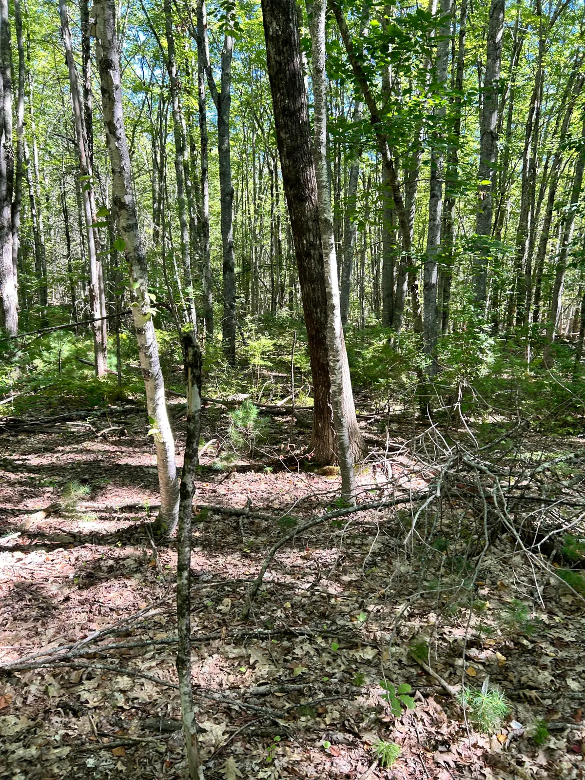 #56 S South Waterboro Road, Lyman, ME 04002 - #1