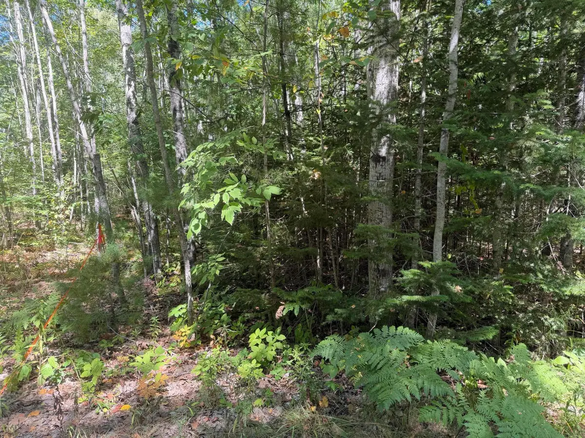 Lot 00500E West Hamlet Road, Newcastle, ME 04553 - #1