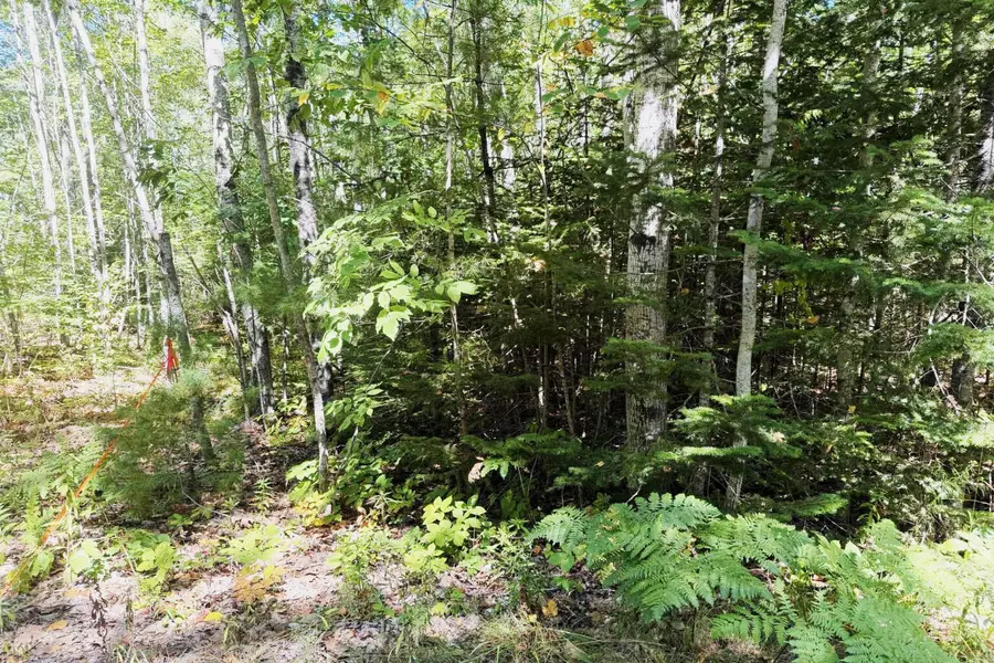 Lot 00500E West Hamlet Road, Newcastle, ME 04553 - #2