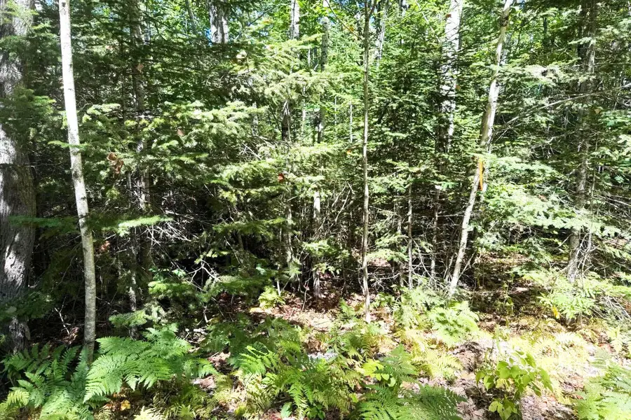 Lot 00500E West Hamlet Road, Newcastle, ME 04553 - #3