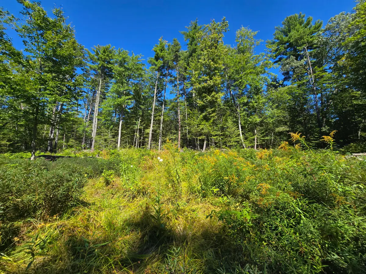 298 Gore Road, Naples, ME 04055 - #1
