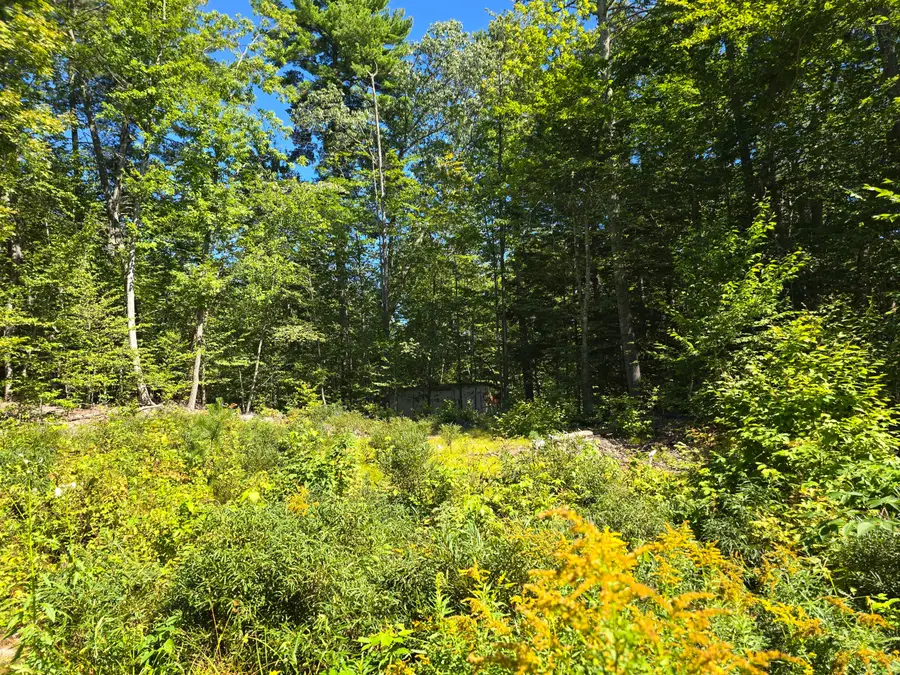 298 Gore Road, Naples, ME 04055 - #2