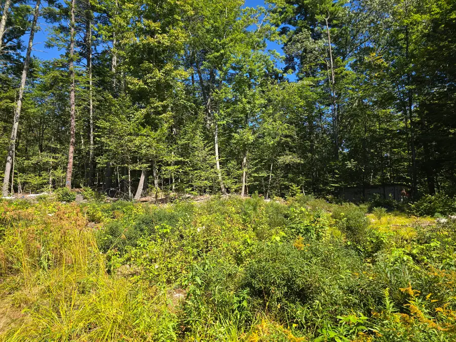 298 Gore Road, Naples, ME 04055 - #3