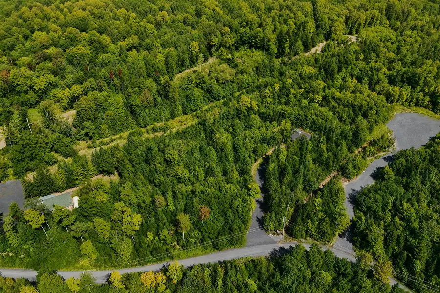 38 Black Bear Lane, Greenville, ME 04441 - #3