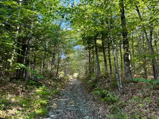Lot 11  Baker Pond Road, Solon, ME 04979 - #1