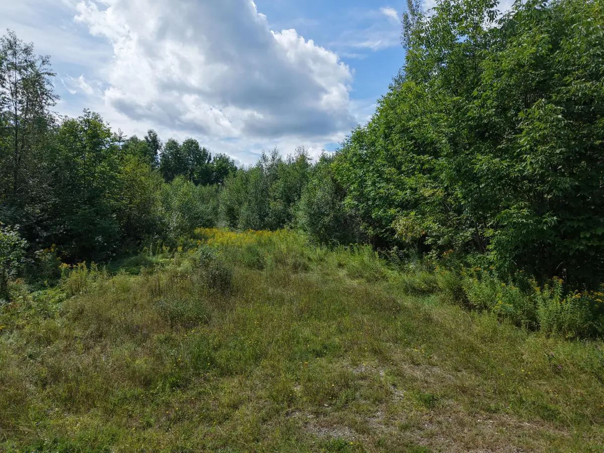 4 Peek-a-boo Mountain Road, Weston, ME 04424 - #1