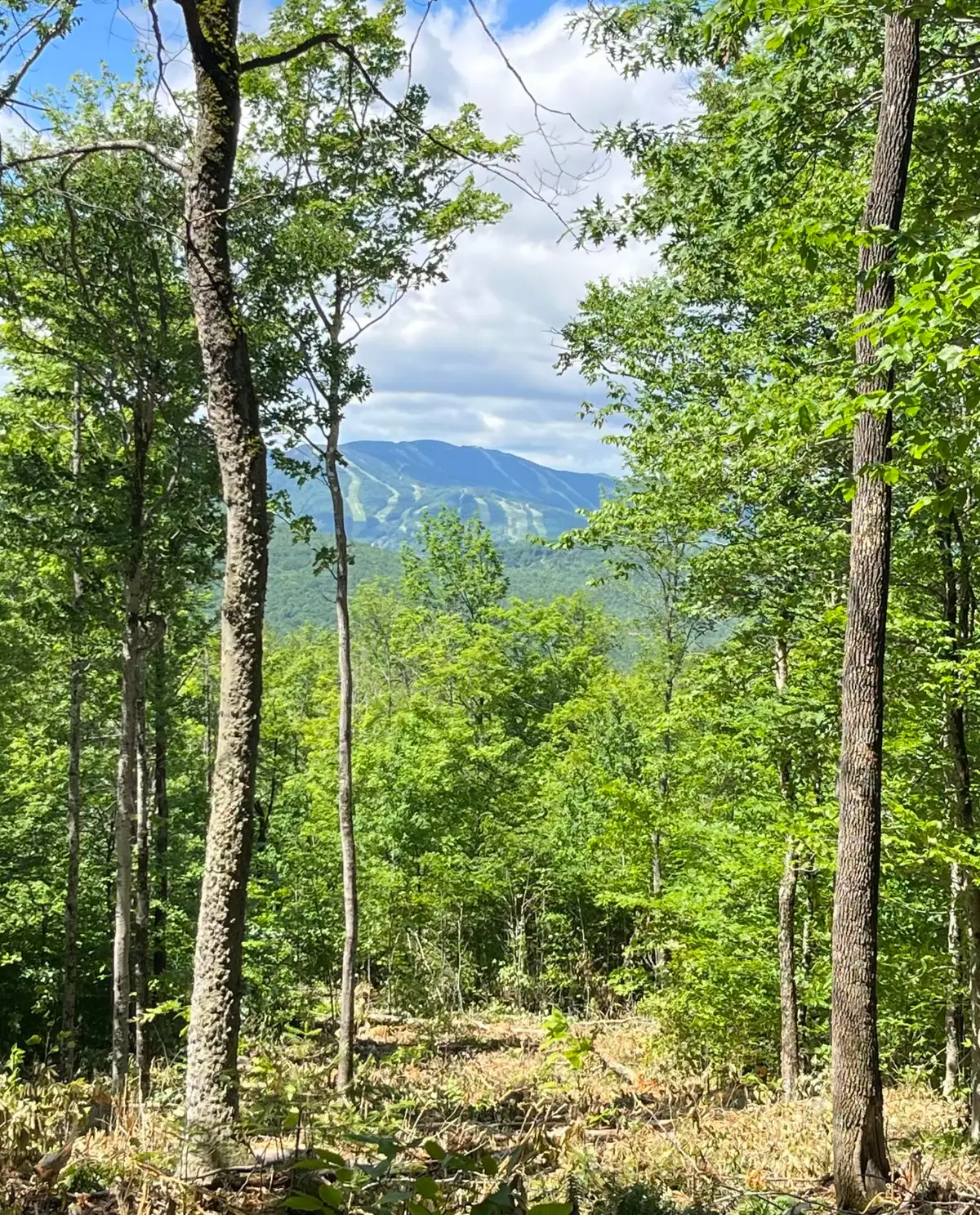 R03-008 Scribe Way, Newry, ME 04261 - #1