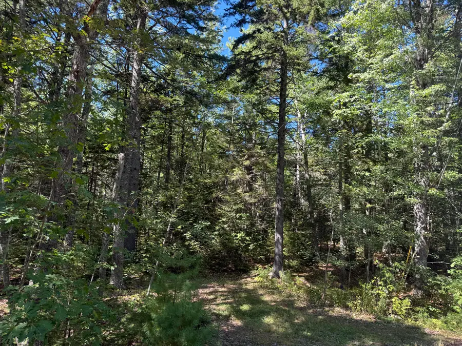 M-9,L-54C Back Shore Road, Bristol, ME 04539 - #3