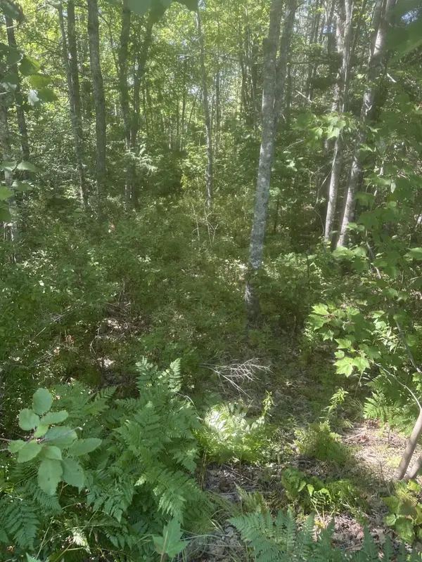 Lot 2 W Side Unionville Road, Steuben, ME 04680