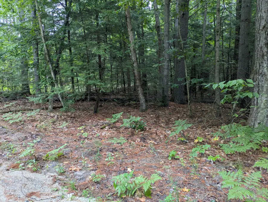 Lot 27, 28 Sherry Drive, Limerick, ME 04048 - #3