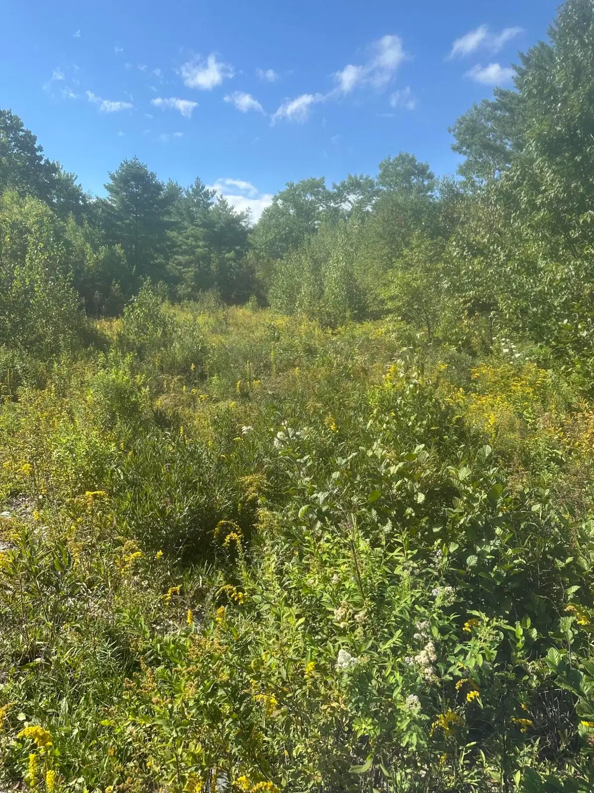 Lot 4 W Side Unionville Road, Steuben, ME 04680 - #1