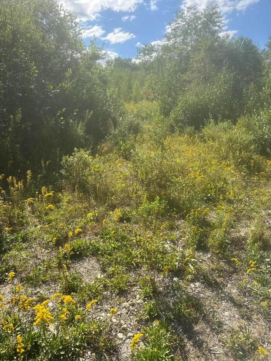 Lot 4 W Side Unionville Road, Steuben, ME 04680 - #2