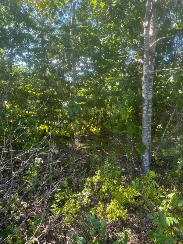 Lot 3 W Side Unionville Road, Steuben, ME 04680