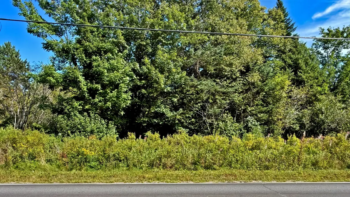 Lot 25-F-1 Dixie Road, Lubec, ME 04652 - #1