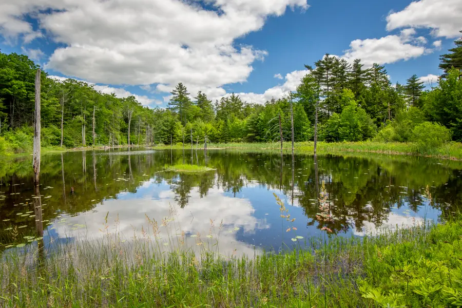 169 Patrick Mountain Lane, Washington, ME 04574 - #3