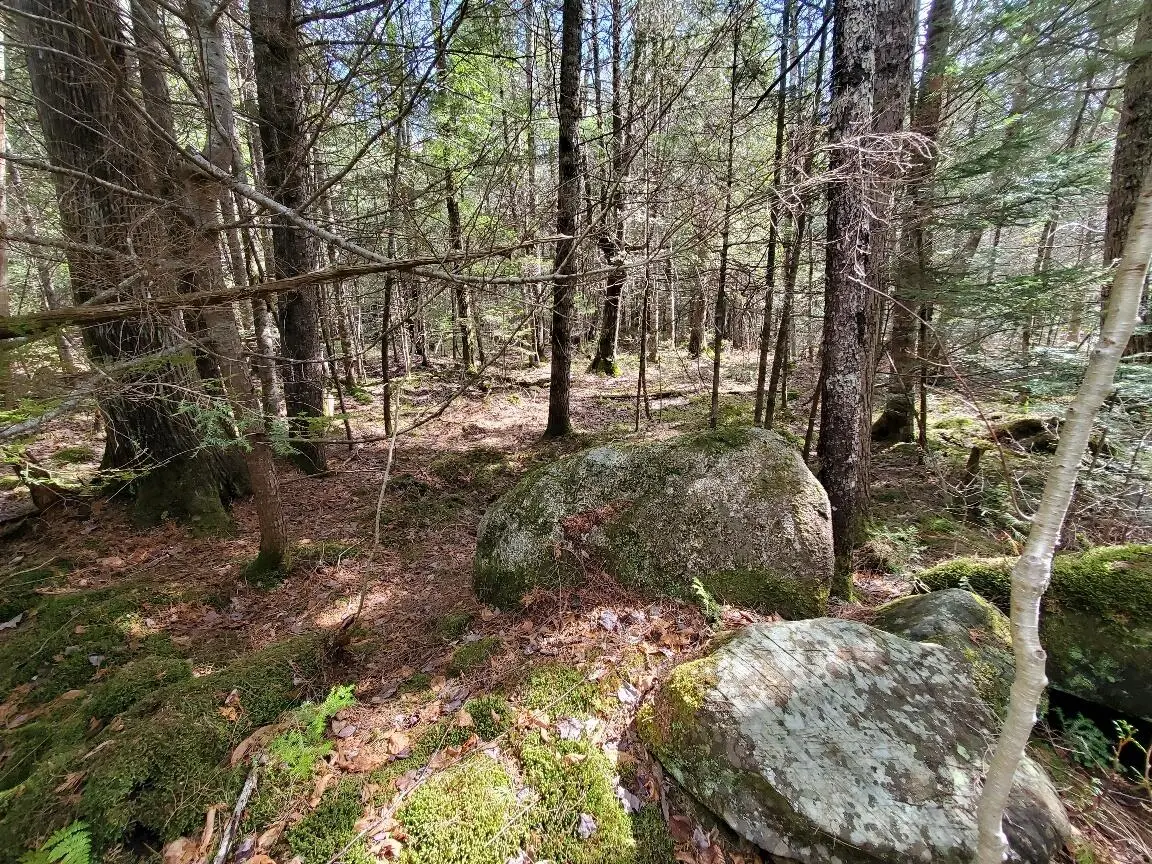 0 Howland (rte 155) Road, Lagrange, ME 04453 - #1