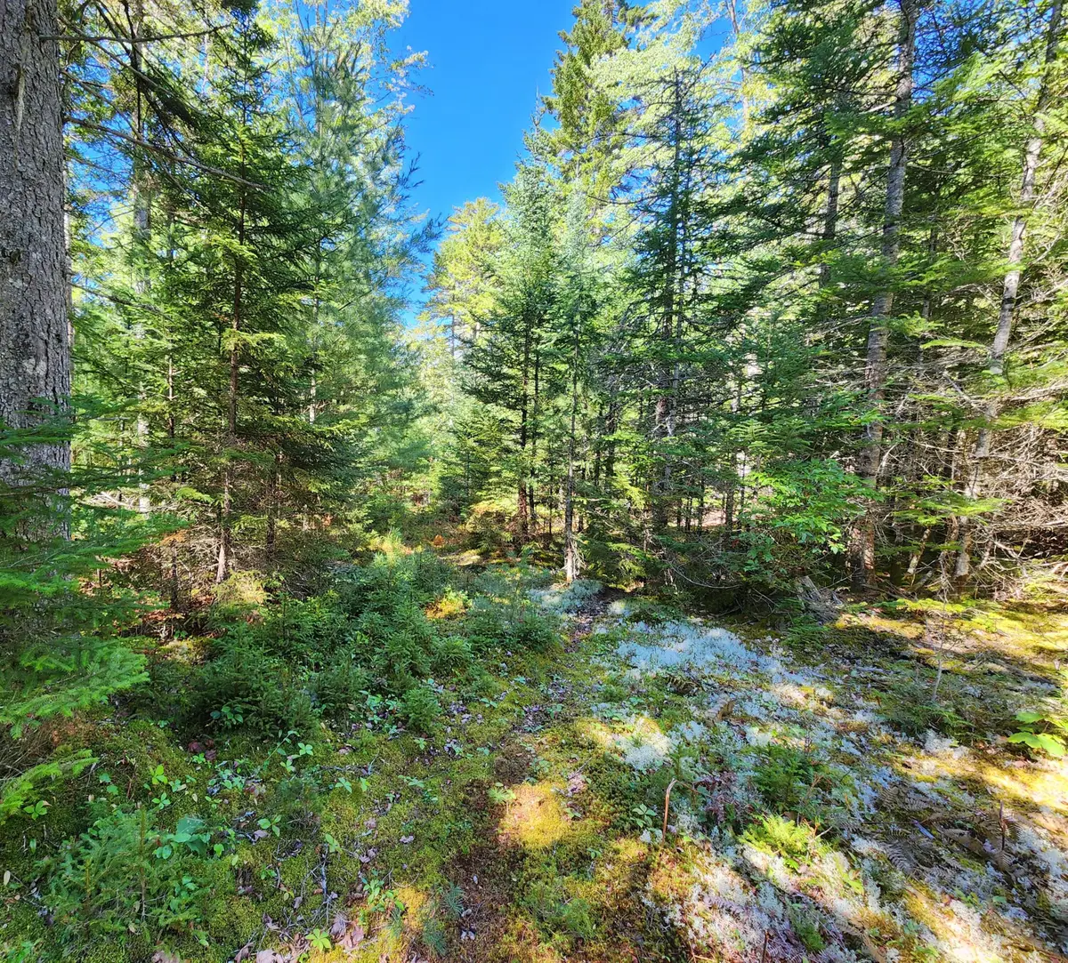 Mp35Lot7-1 Mattson Lane, Blue Hill, ME 04614 - #1