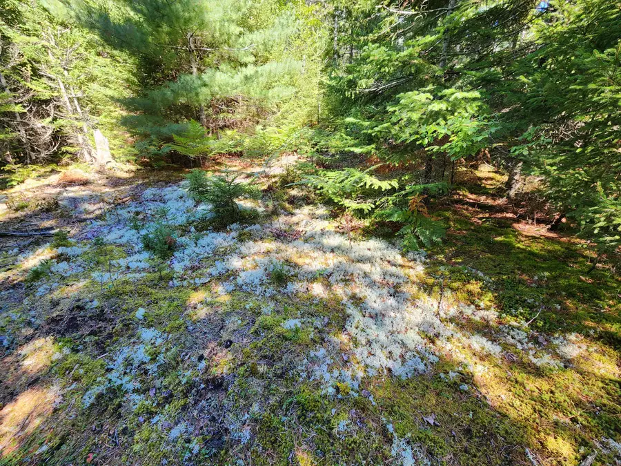 Mp35Lot7-1 Mattson Lane, Blue Hill, ME 04614 - #2