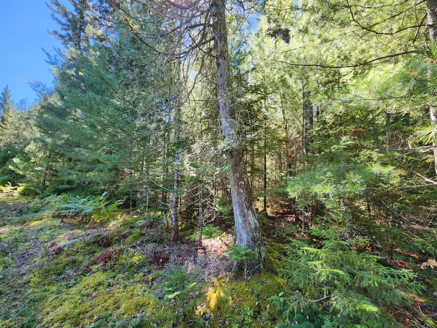 Mp35Lot7-1 Mattson Lane, Blue Hill, ME 04614 - #3