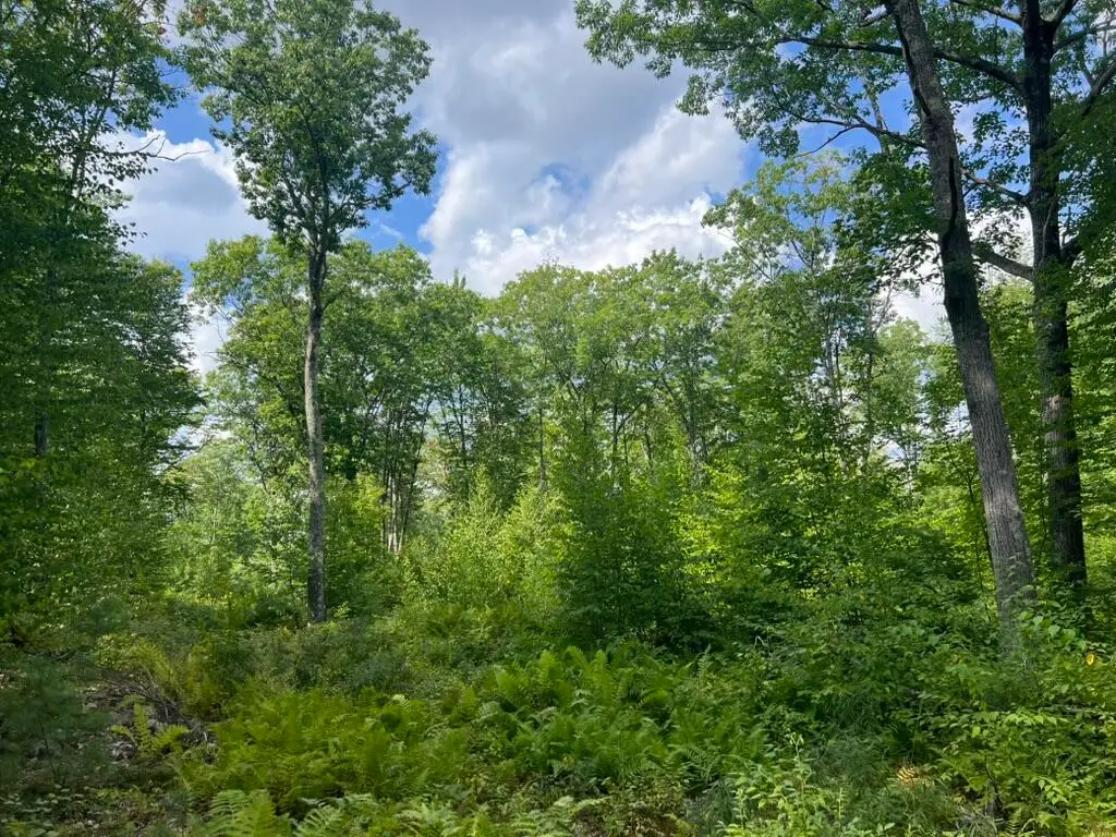 0 Old County Road, Lyman, ME 04002 - #1