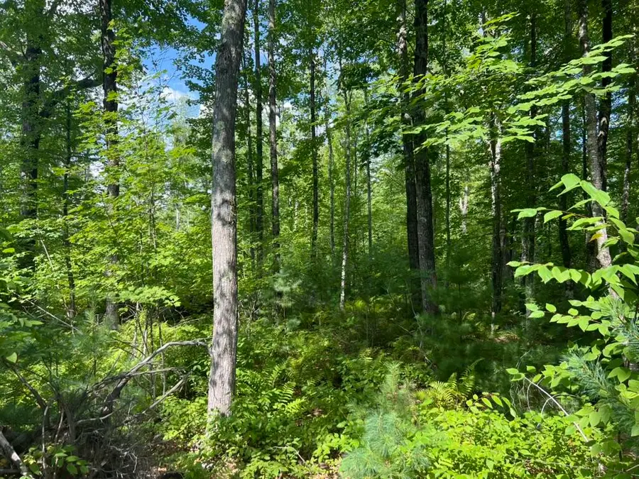 0 Old County Road, Lyman, ME 04002 - #2