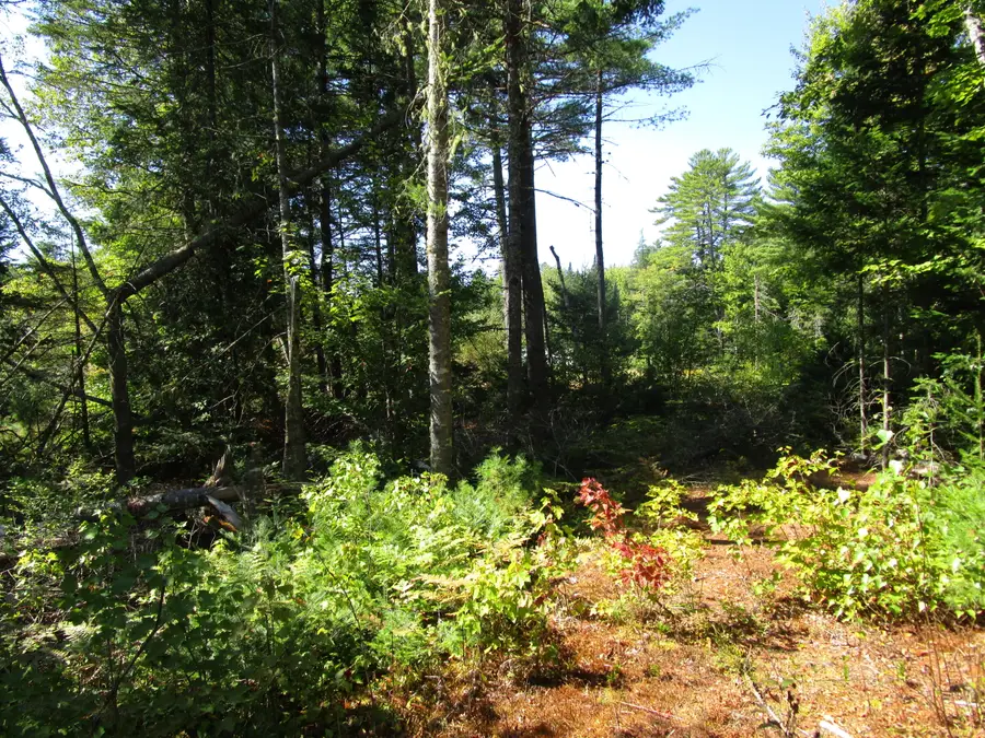 8A N Maxfield Road 0, Maxfield, ME 04453 - #3