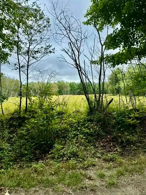 Lot 96 Heath Road, Milbridge, ME 04658 - #3