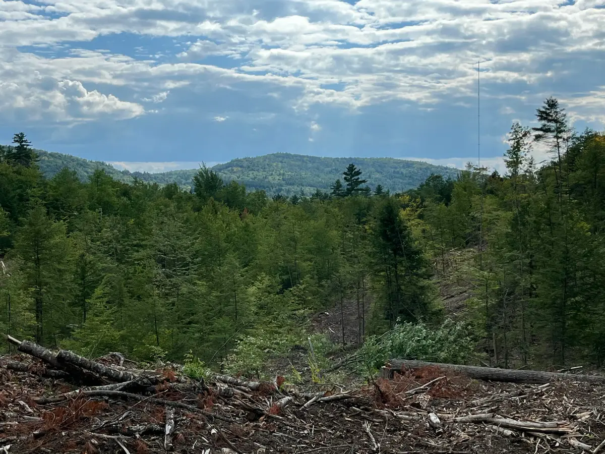 203 Robinson Hill Road, Sebago, ME 04029 - #1