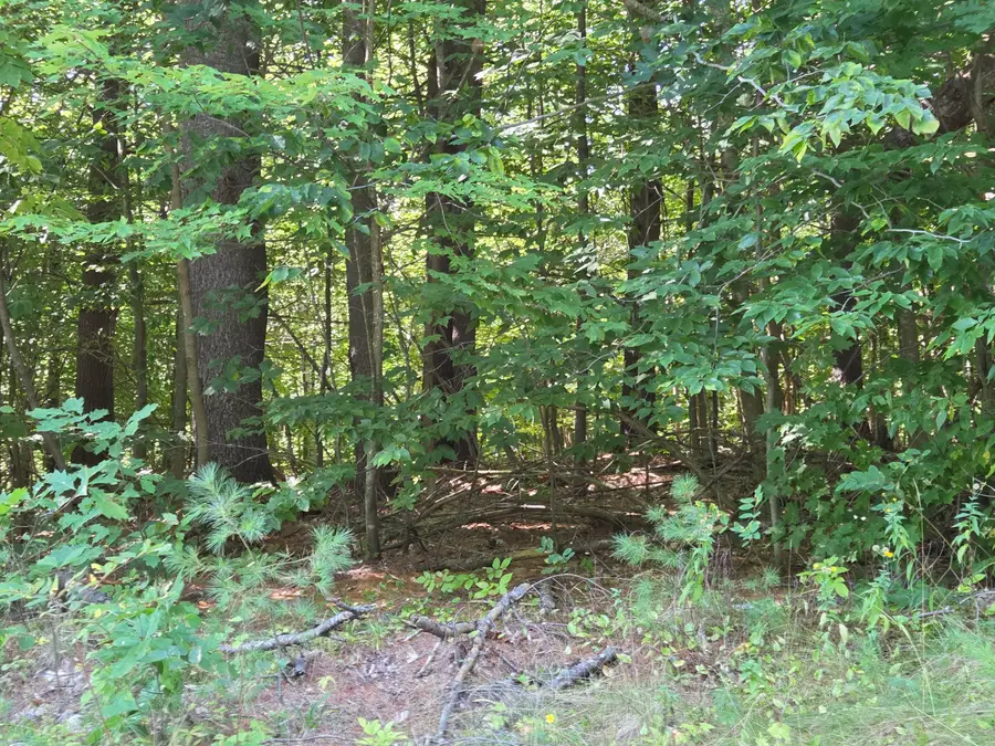 385 Swain Road, Rumford, ME 04276 - #3