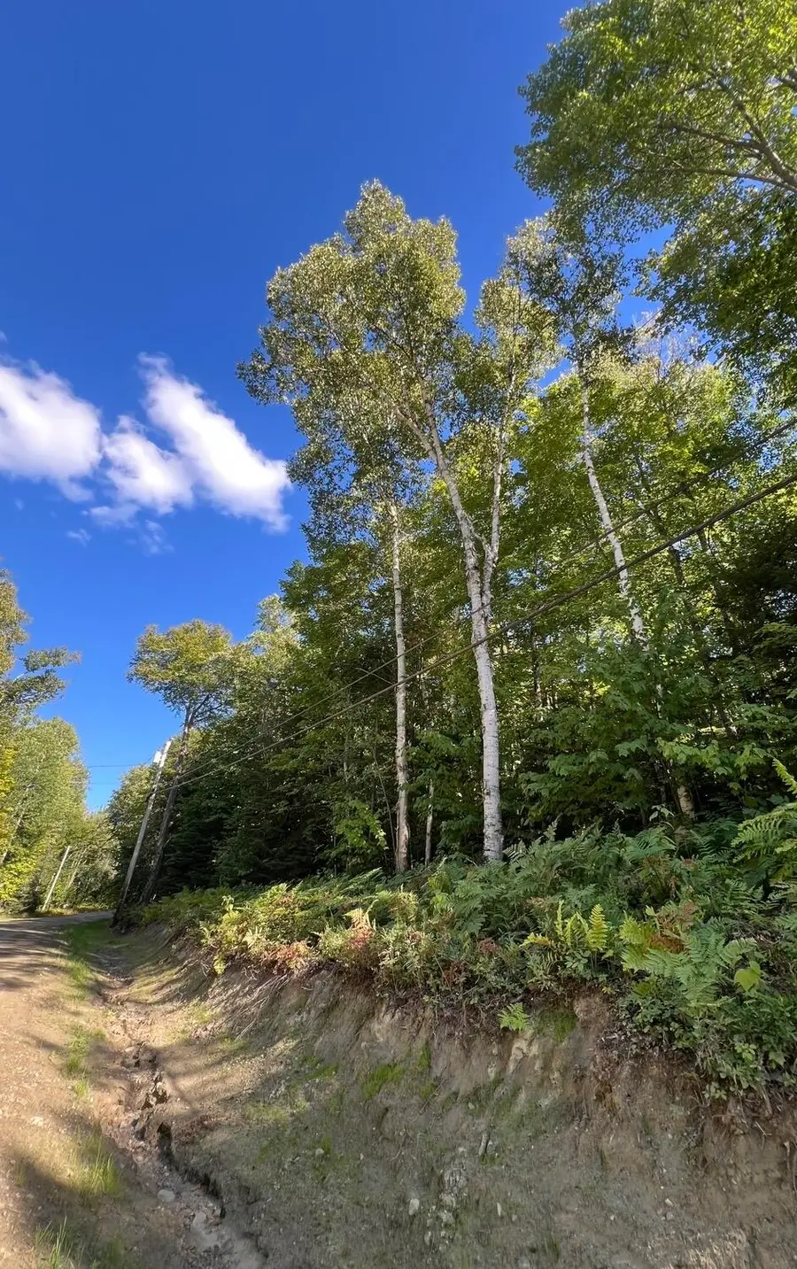 Lot 19-1 Herbie Welch Trail, Rangeley Plt, ME 04970 - #3