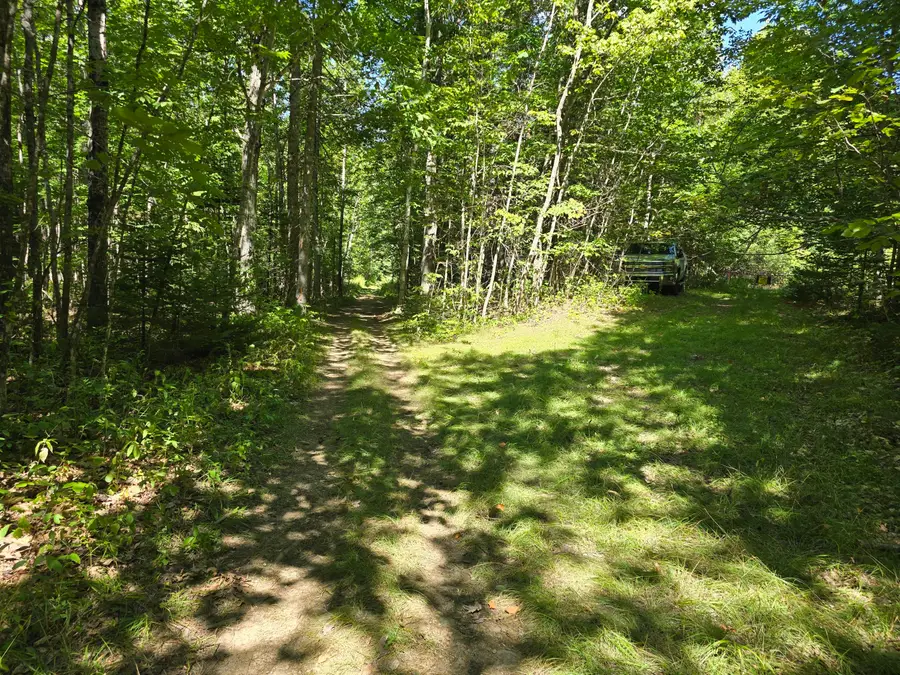 00  French Road, Levant, ME 04456 - #3