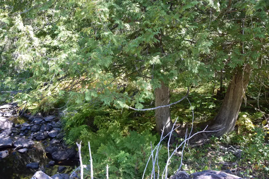 M11 L3-1  Nelson Hill Road, Athens, ME 04912 - #3