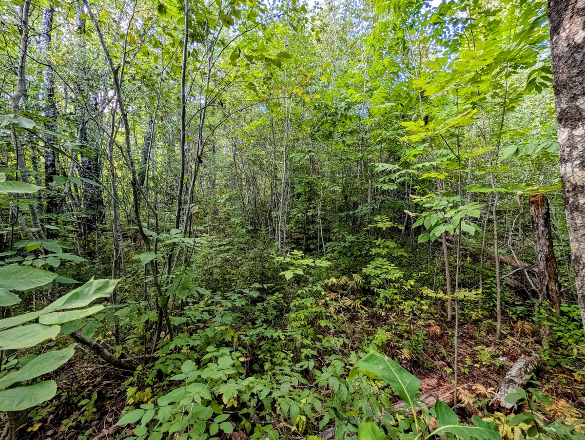 M6 L27-1 Loggin Road, Frankfort, ME 04438 - #1