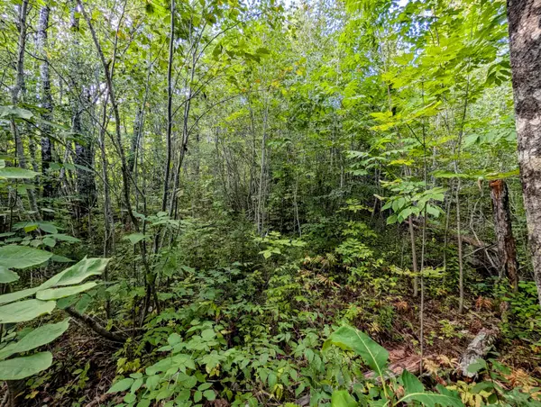 M6 L27-1 Loggin Road, Frankfort, ME 04438