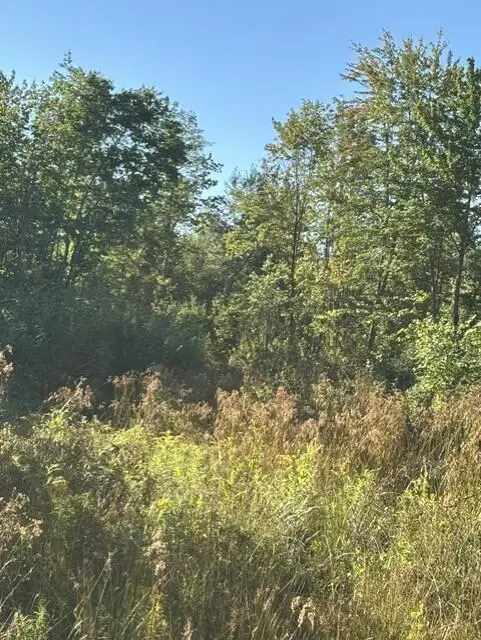 Map2 Lot30 Weeman Road, Detroit, ME 04929 - #1