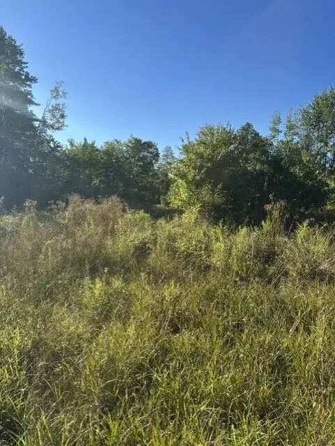 Map2 Lot30 Weeman Road, Detroit, ME 04929 - #3