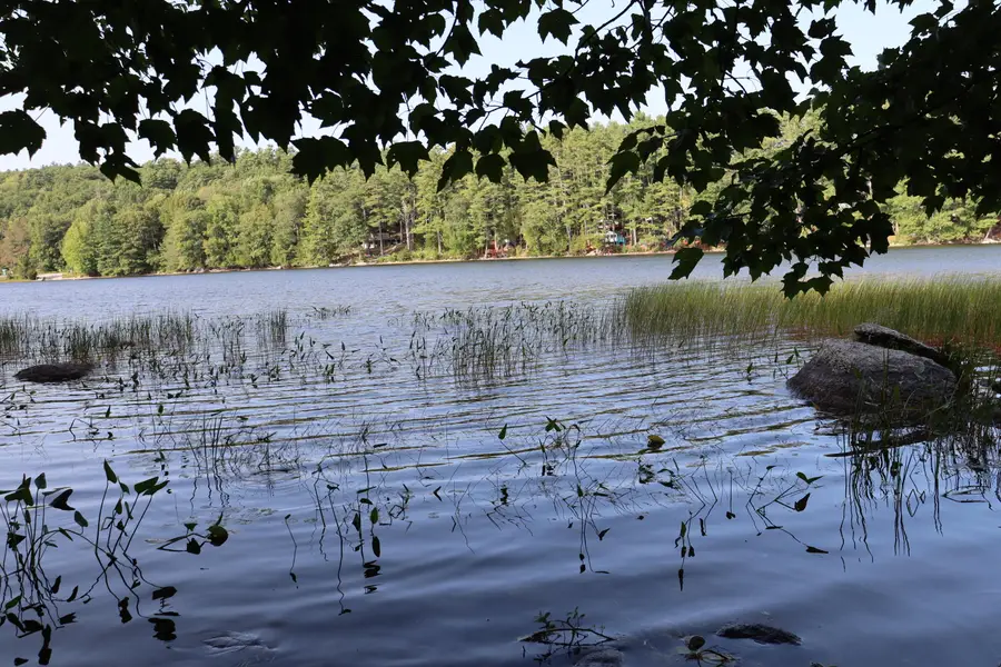 Lot 0 Sweet Fern Way, Orland, ME 04472 - #3