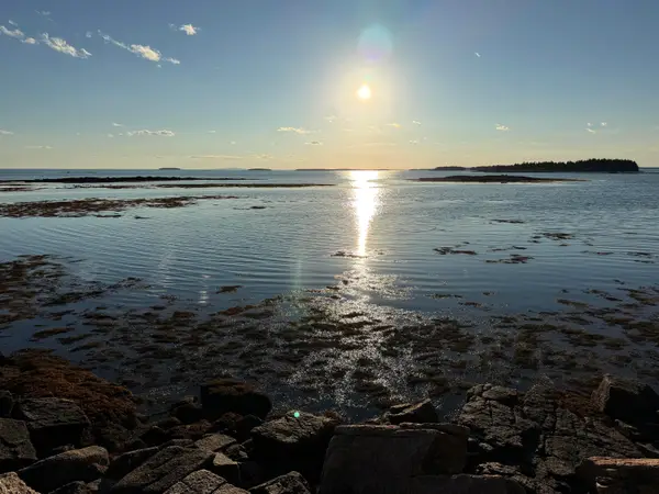 463 Black Duck Cove Road, Beals, ME 04611