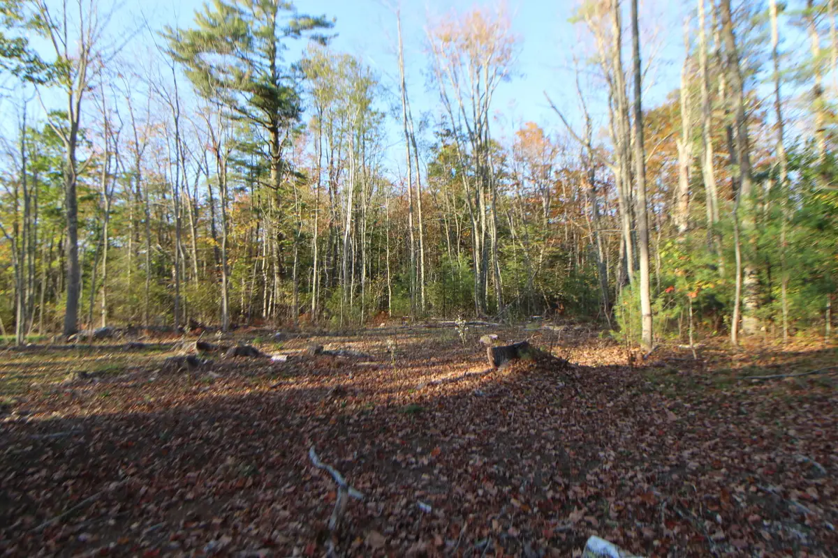 53-03 Race Course Road, Bucksport, ME 04416 - #1