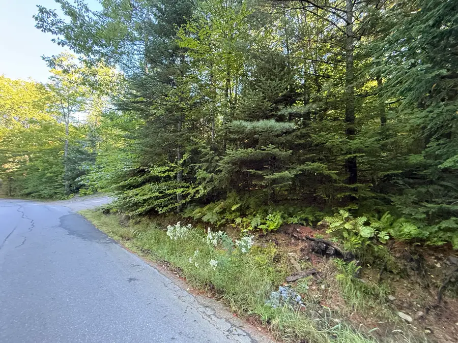 R213C Howard Pond Road, Hanover, ME 04237 - #2