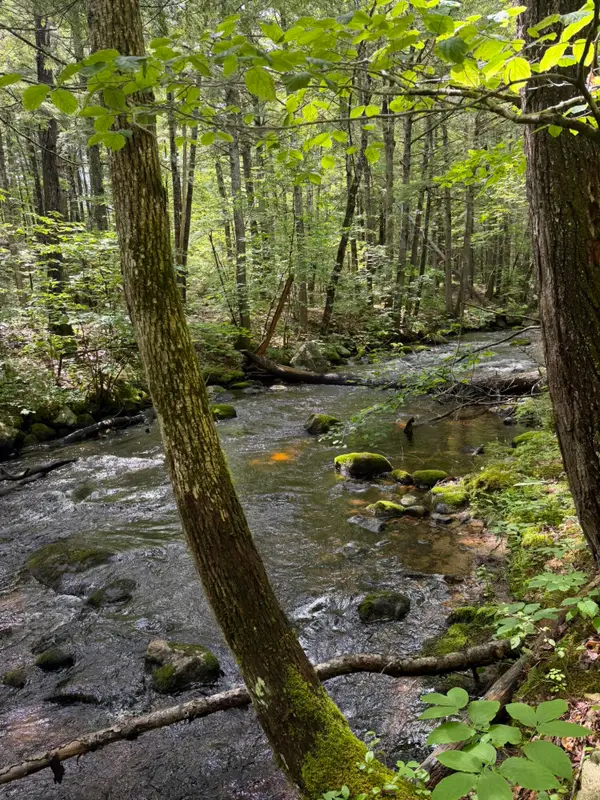 Lot 44 Rolfe Road, Harrison, ME 04040