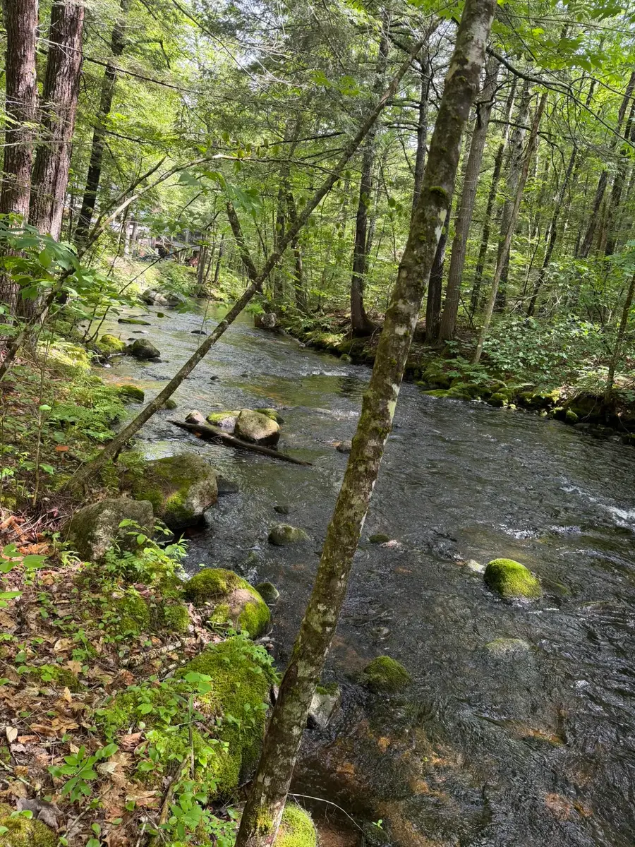 Lot 44 Rolfe Road, Harrison, ME 04040 - #2