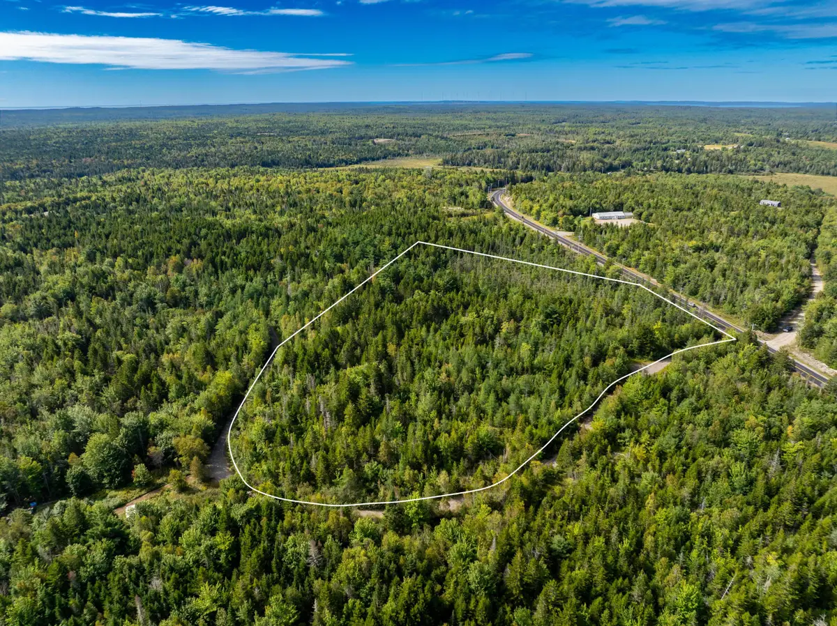 M7 L2-1 Reynolds Brook Road, Whiting, ME 04691 - #1