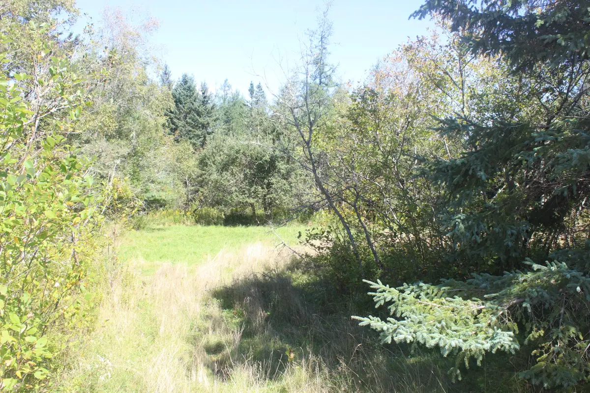 193 Golding Road, Perry, ME 04667 - #1