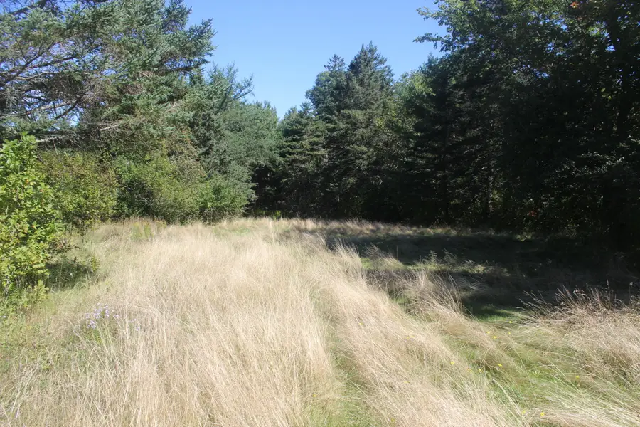 193 Golding Road, Perry, ME 04667 - #2